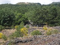 fugio Paterno-20100711 016
